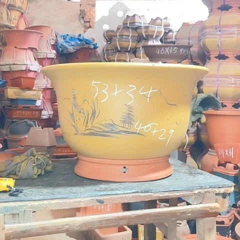 紫砂花大今钟黄色一个