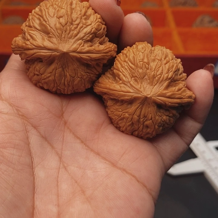 核桃泥鳅背43尺核桃