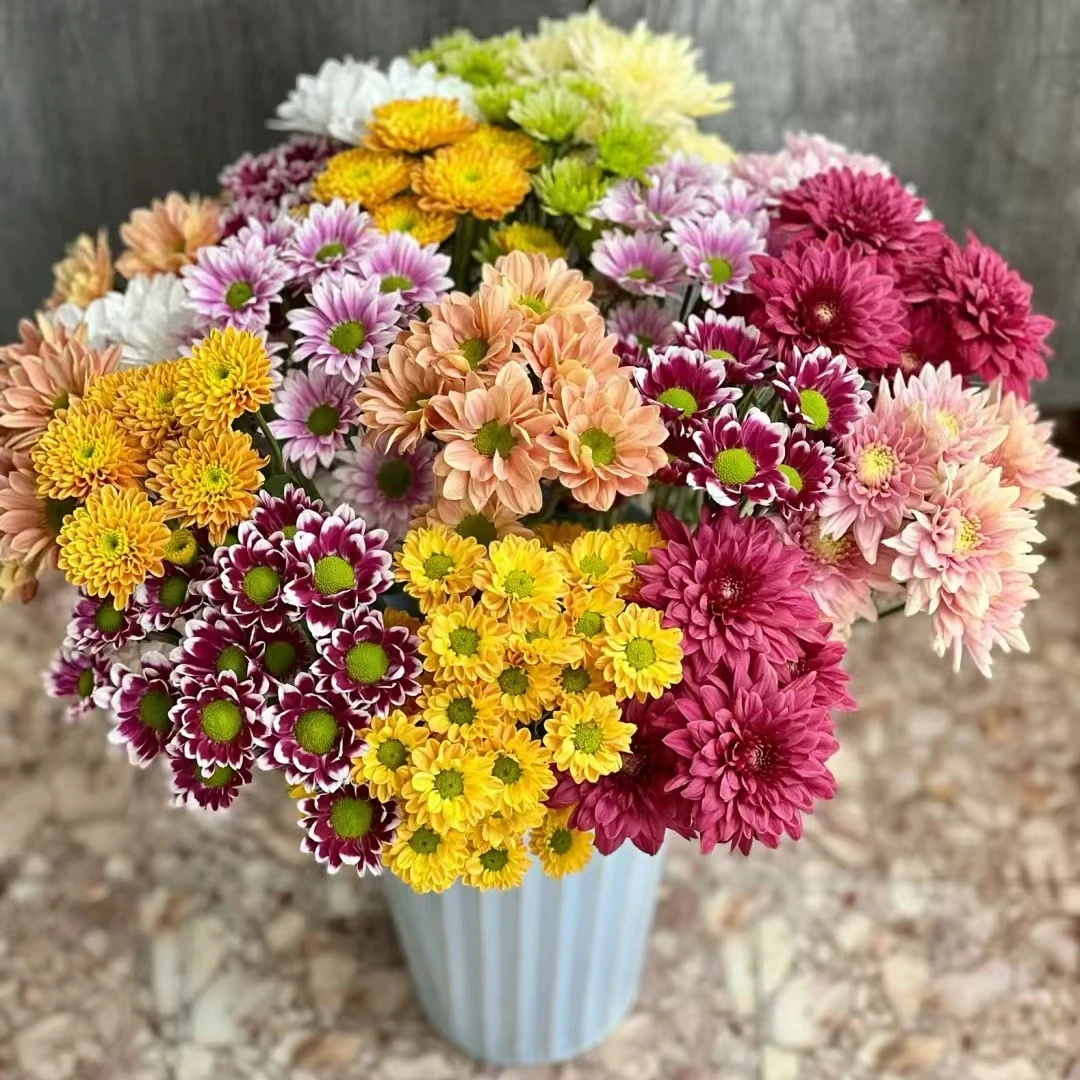 【大聪明卖花】小雏菊-任意2单鲜花包邮发货后不支持退款