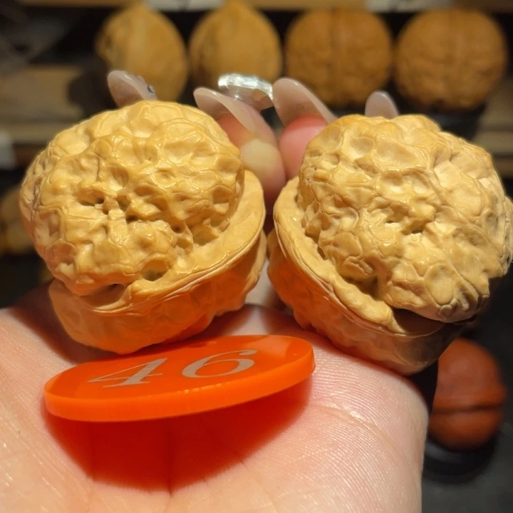 金蟾疙瘩包37尺寸核桃