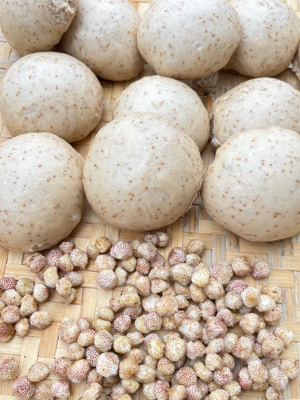 镇雄特产阿权家手工白泡儿粑粑馒头饱腹早餐