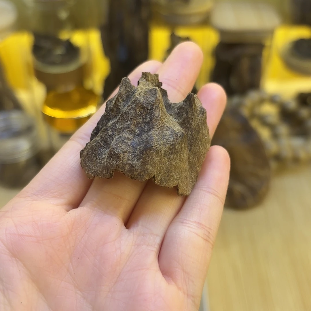 芽庄沉水壳子2.77克