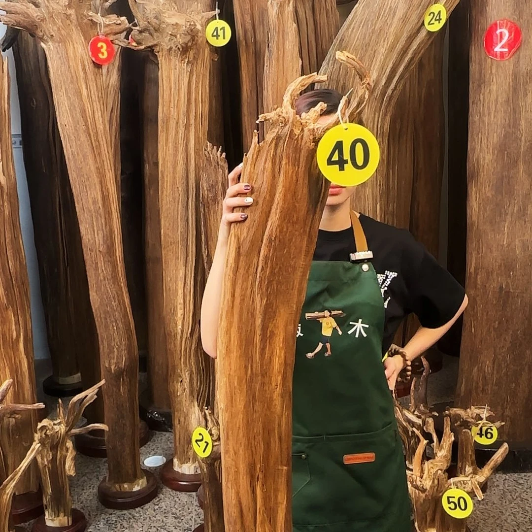 摆件沉香天然沉香原木原材料摆件