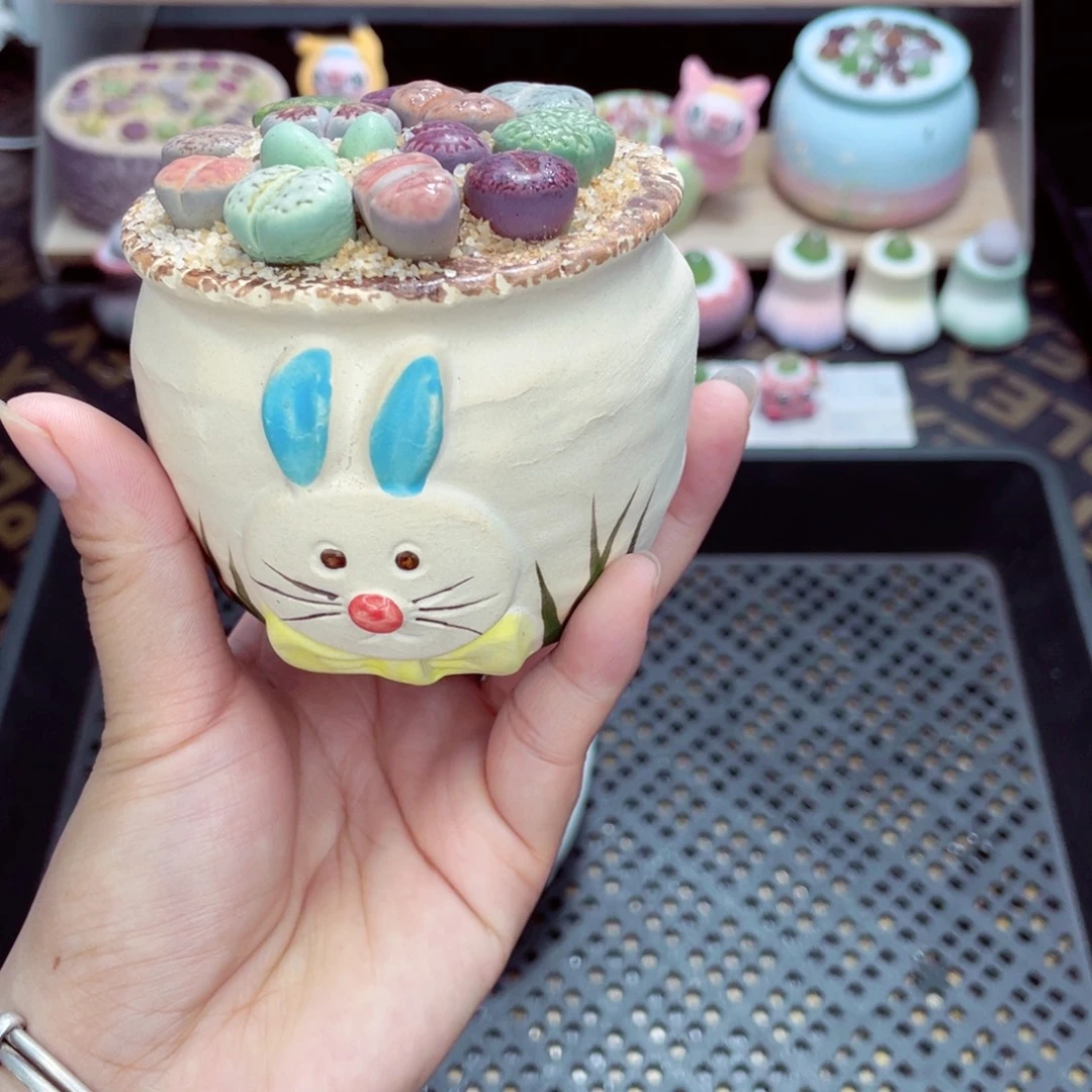w5387 带盆土发货一物一拍