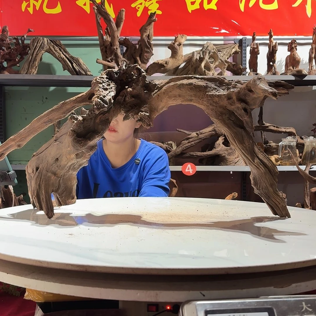 紫砂紫柚沉木不包损必黄水介意慎拍大*树6206……