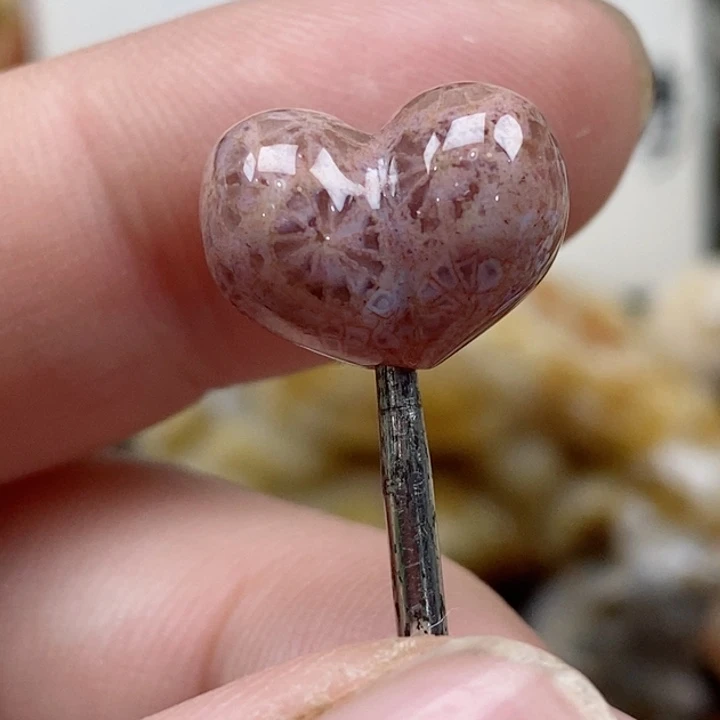 颈饰未镶嵌硅化珊瑚（珊瑚玉）小