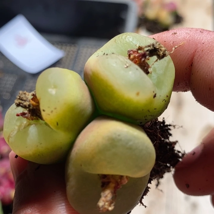 贤**觉20201一个一个一个