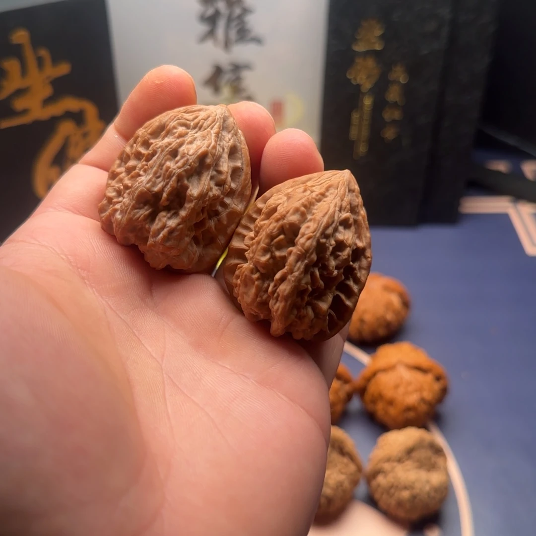 37全品壁虎，庇护一生