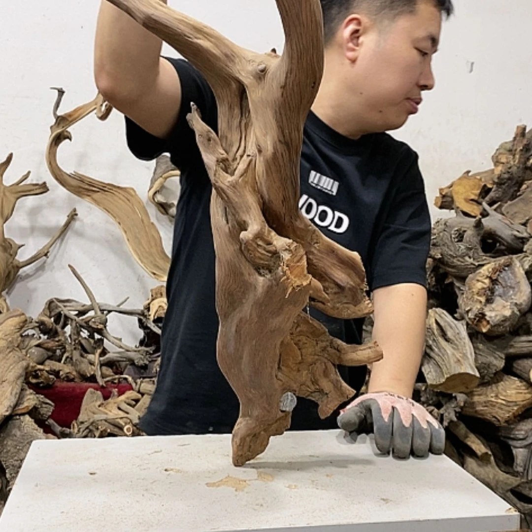 【闪购商品】柏木奇*我们都是好孩子