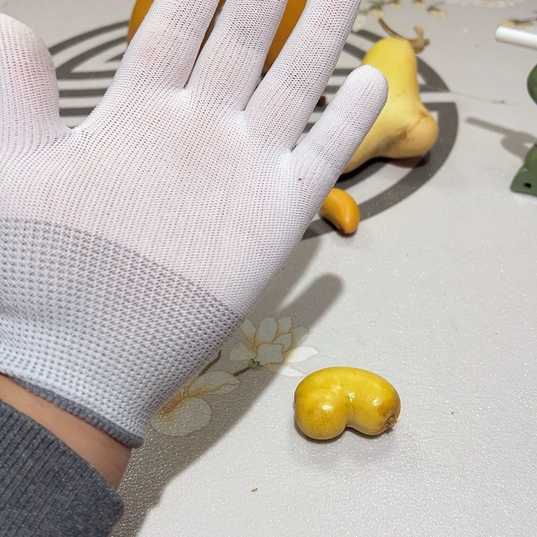 葫***葫哈哈哈哈哈哈哈哈哈哈哈