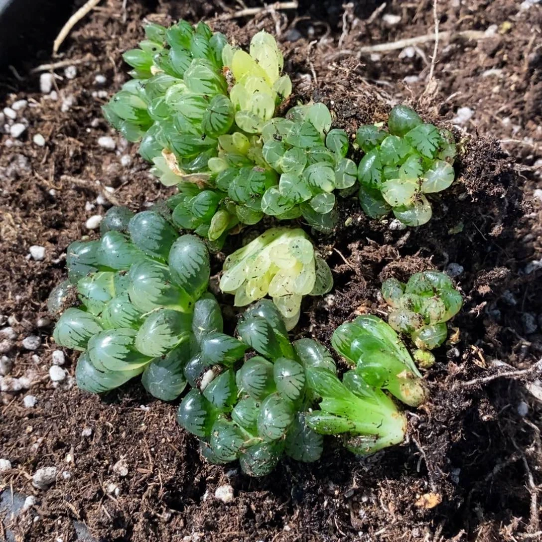 一***、2023 一整筐全部 超级福利