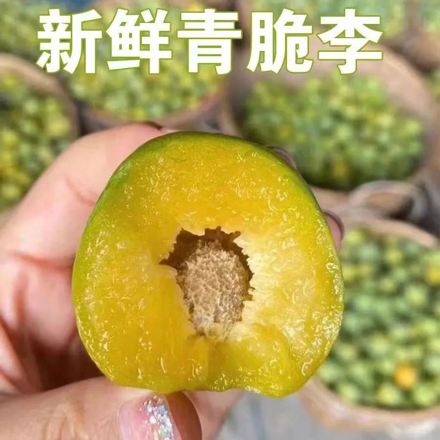 正宗青脆成熟脱骨李子鲜采酸甜爽口青脆李应季水果