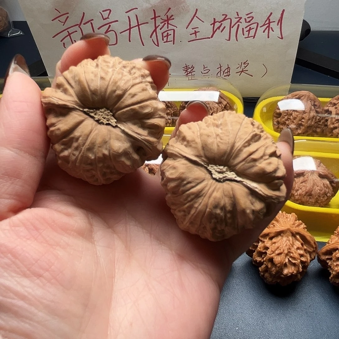 核桃43尺寸南瓜墩