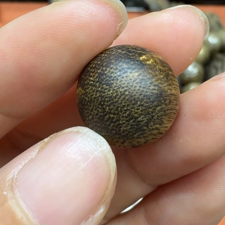 大叶紫檀（黑酸枝木类）