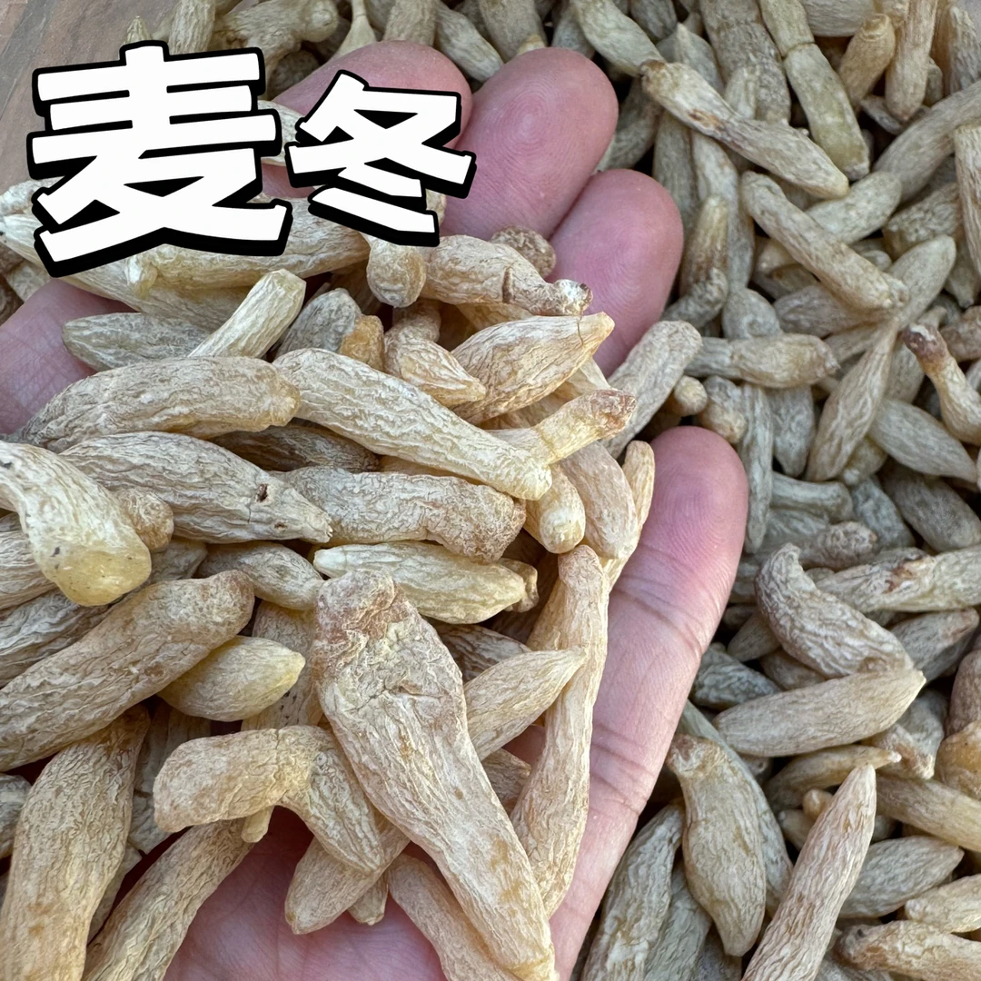 【珠海贤记】精选正宗四川绵阳煲汤补气血麦冬麦冬枸杞养生茶