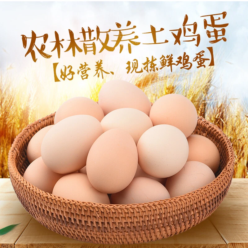 【50枚】散养粉壳土鸡蛋 农家新鲜现捡笨鸡蛋
