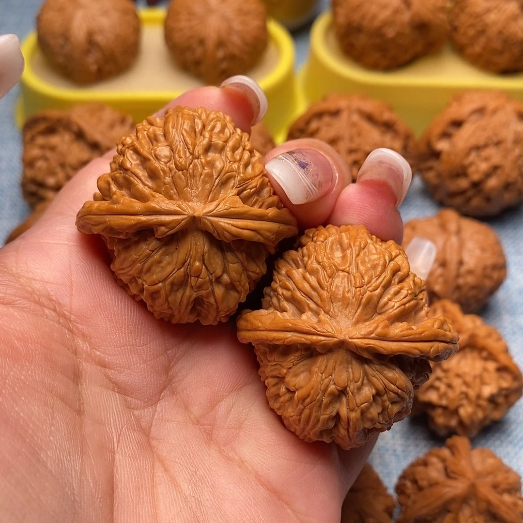 把件文玩核桃毕业白狮子40.9尺全品