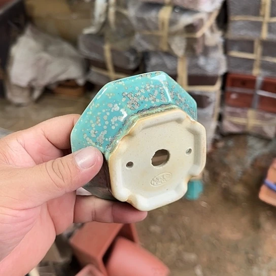 一定很有成就感哦笑起来超治愈