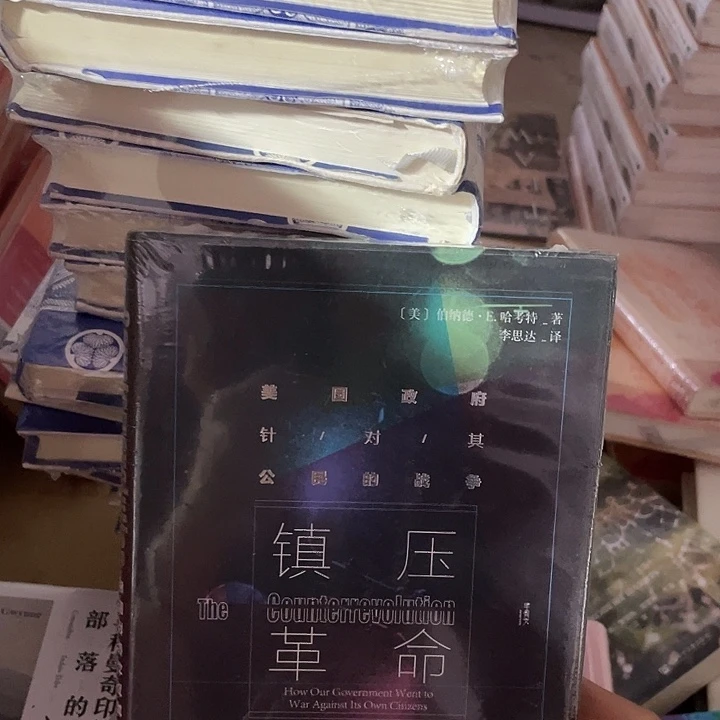 镇压革命：微瑕微瑕