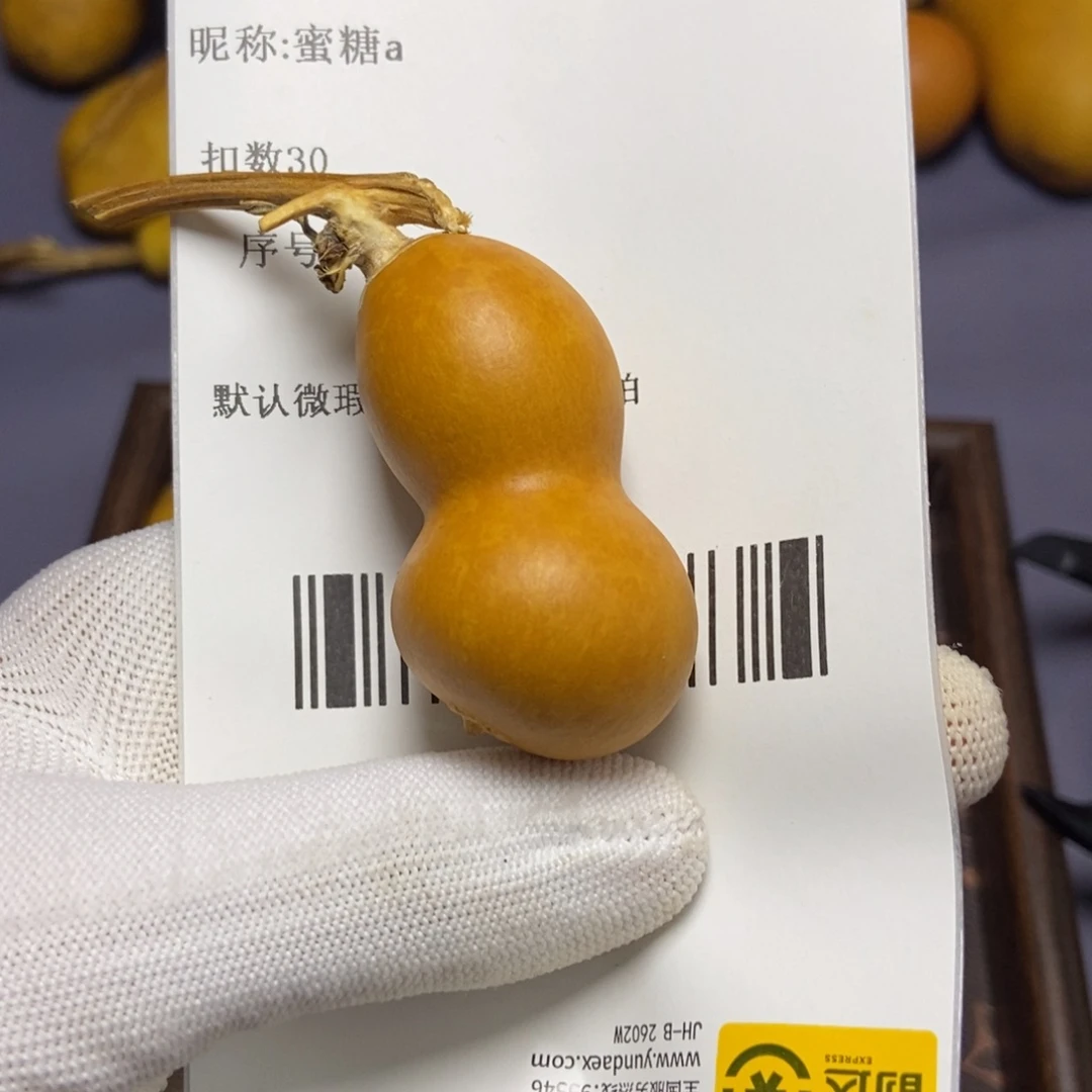 蜜*a哈哈哈哈哈哈哈哈哈哈