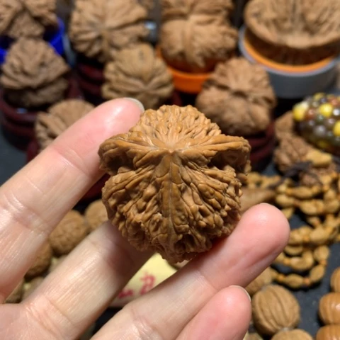 核桃?****话虎头三棱一个