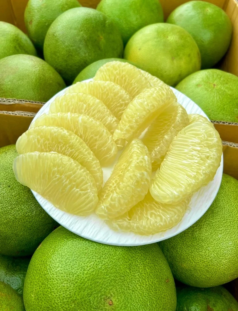 【敖会长】青柚新鲜水果多汁白心青皮蜜柚当季时令