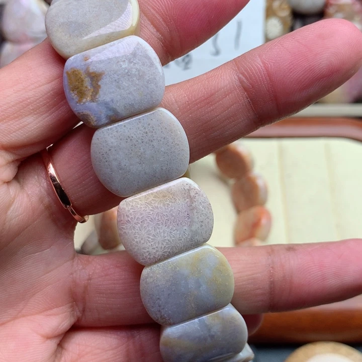 硅化珊瑚（珊瑚玉）颈饰未镶嵌