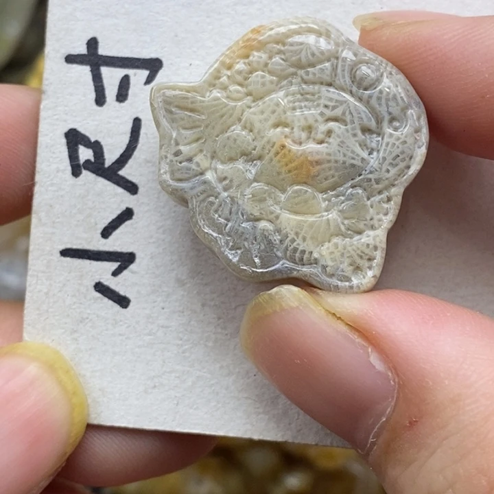 硅化珊瑚（珊瑚玉）未镶嵌颈饰