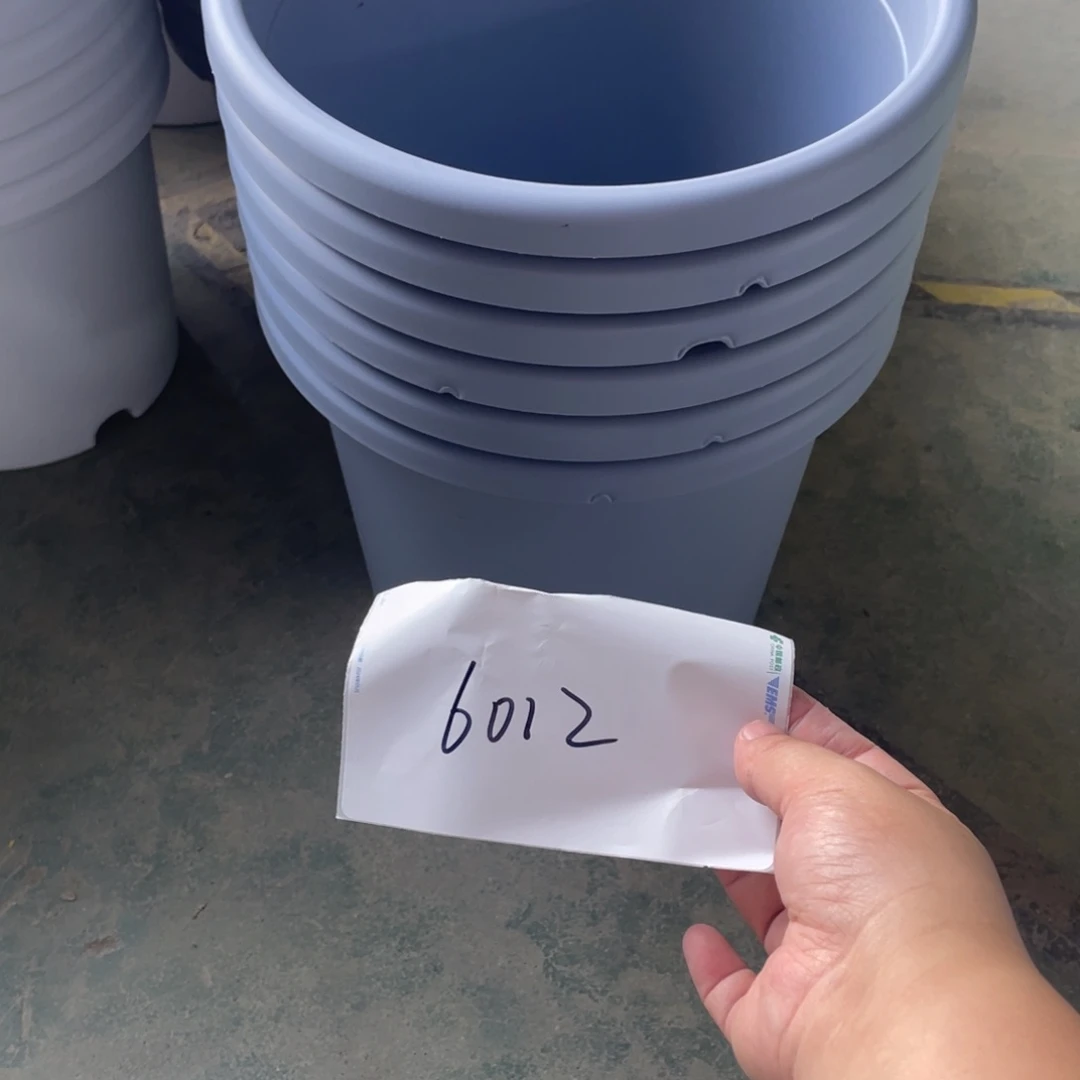 帅***爱编号是6012的编号