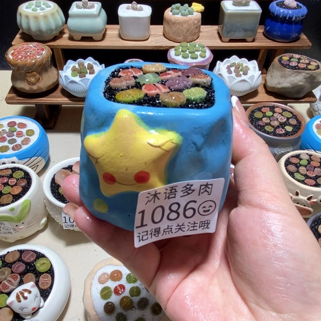 所见即所得 一物一拍1086
