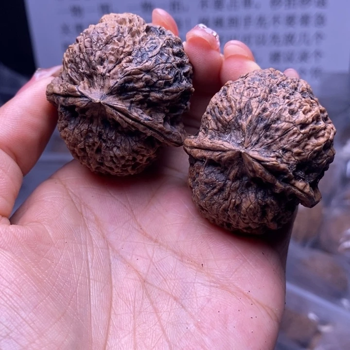 核桃云南野生铁核桃64号43mm