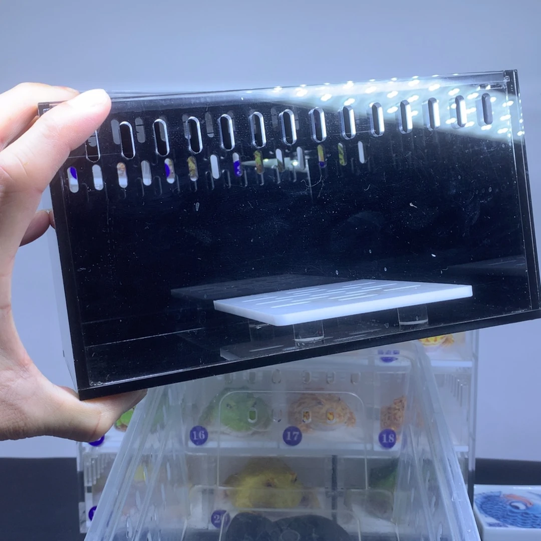 角蛙亚克力专业定制高端盒专拍链接