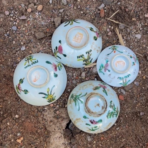 杂色豆（科檀/科特迪瓦檀木）牛*