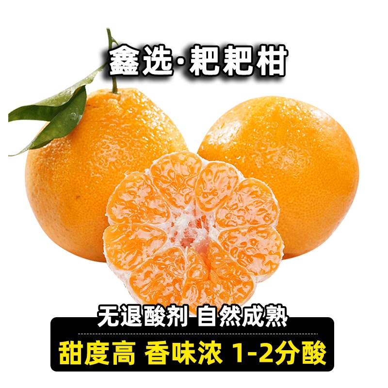 鑫选四川春见耙耙柑4.7-8.2斤皮薄易剥爆汁新鲜采摘 顺丰产地直采