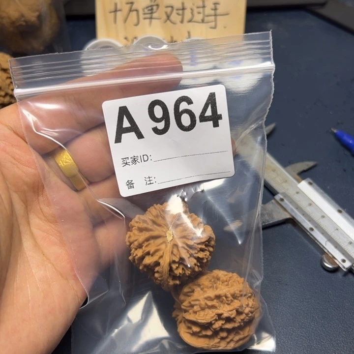 哈哈哈哈我的小可爱