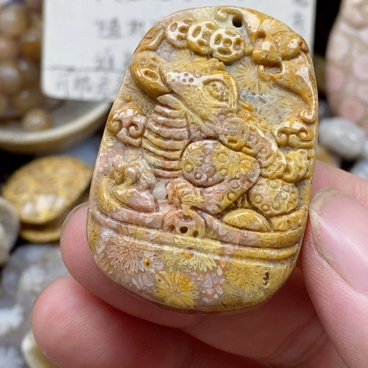 硅化珊瑚（珊瑚玉）未镶嵌颈饰有瑕