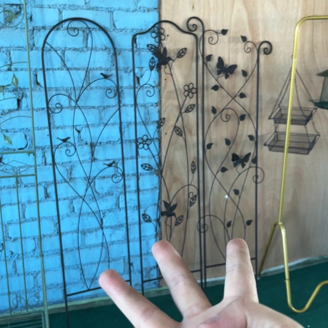 孤品炸炸炸炸炸炸