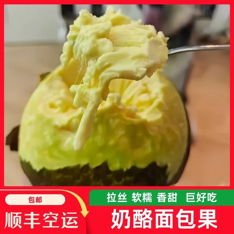 顺丰包邮海南新鲜高山采摘稀有当季热带面包果