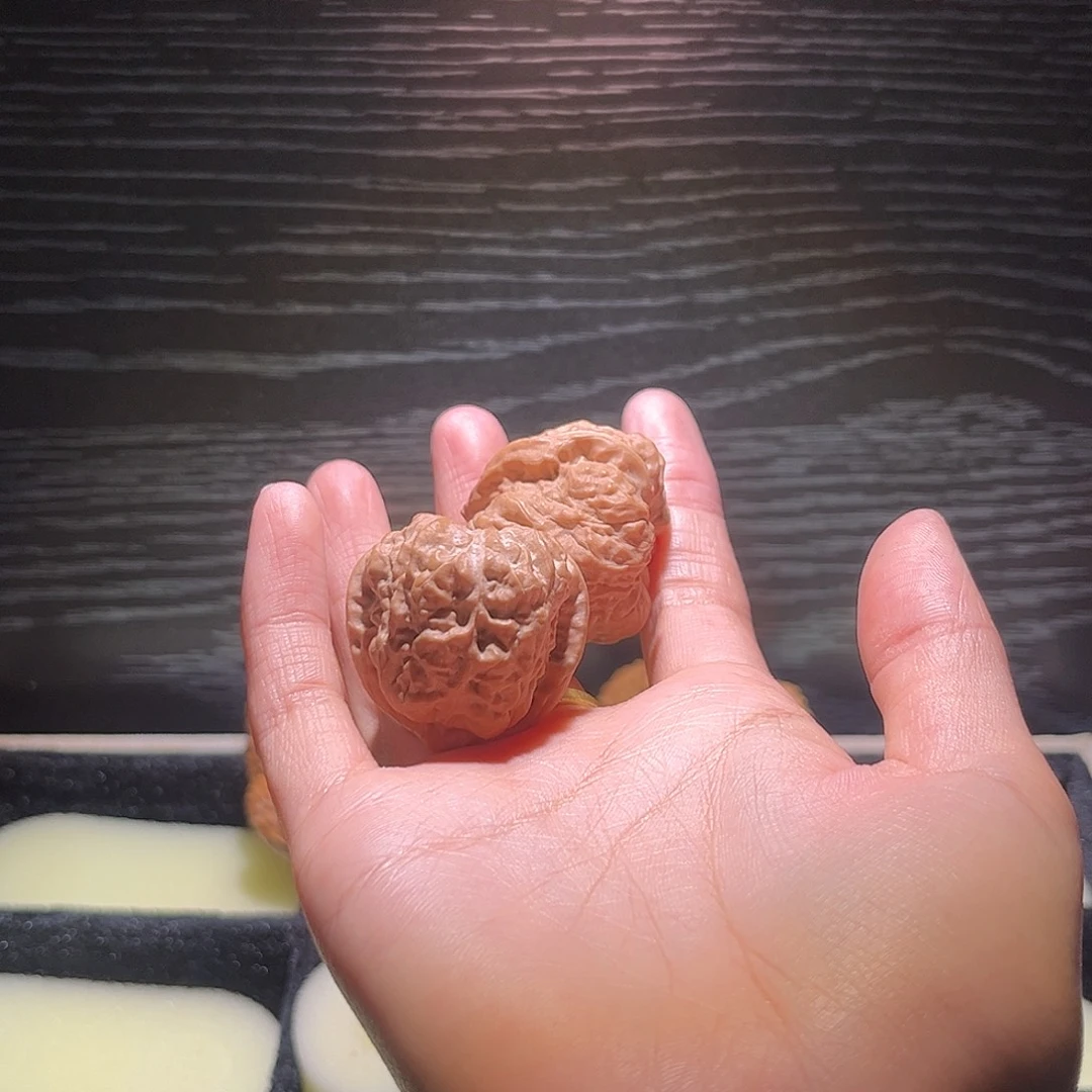 Y***.大叶紫檀（黑酸枝木类）蛤蟆