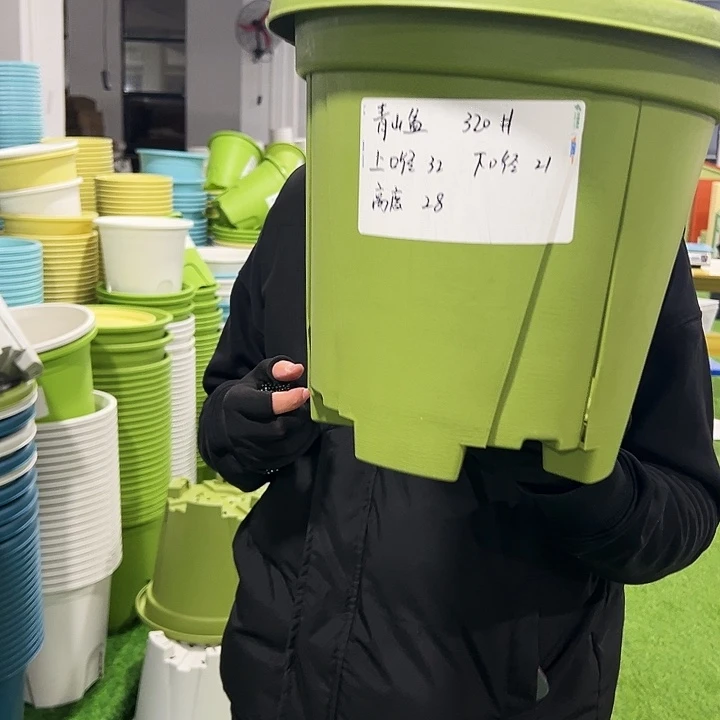 清仓青山口32高28果绿色5只无托