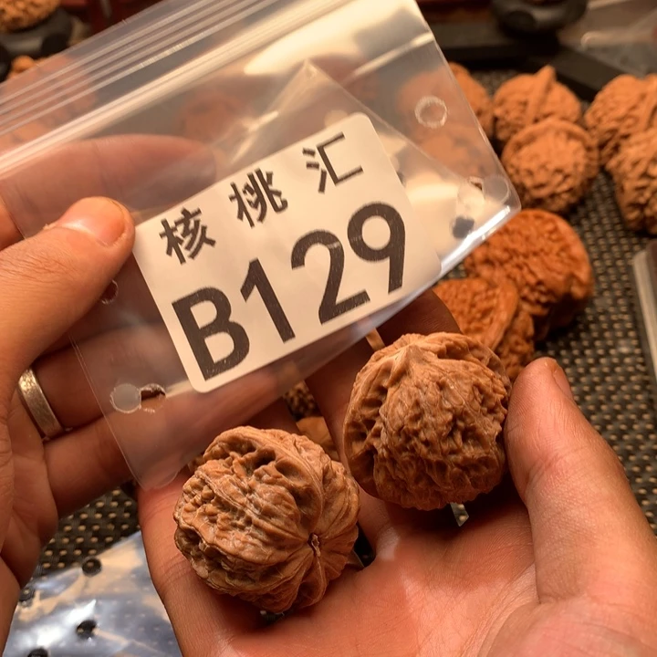 吊坠文玩核桃黑马
