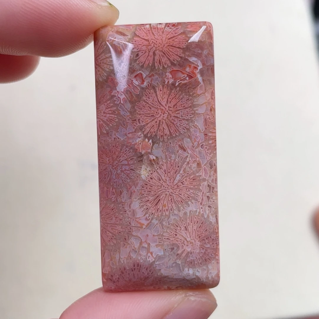 【闪购商品】未镶嵌手串硅化玉猫****城