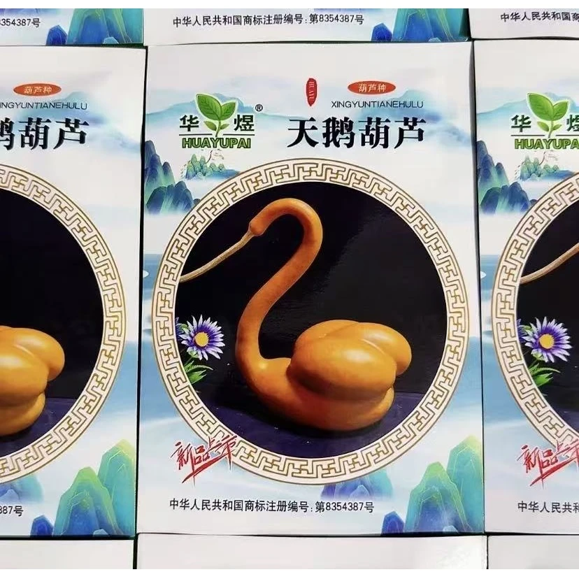 天鹅葫芦种子四季种植盆栽阳台