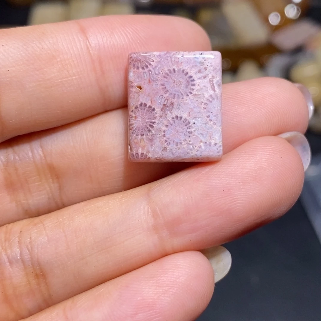 【闪购商品】硅化玉珊瑚玉未镶嵌