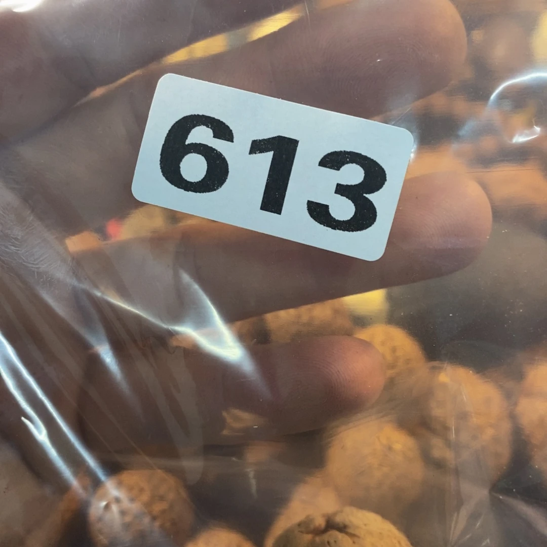 文玩核桃吊坠小****叫文玩核桃