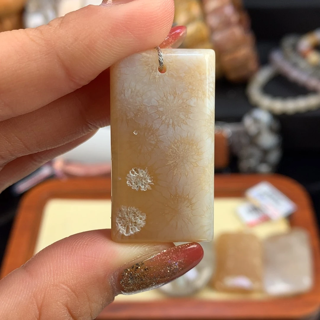 【闪购商品】硅化珊瑚（珊瑚玉）未镶嵌颈饰2号上新