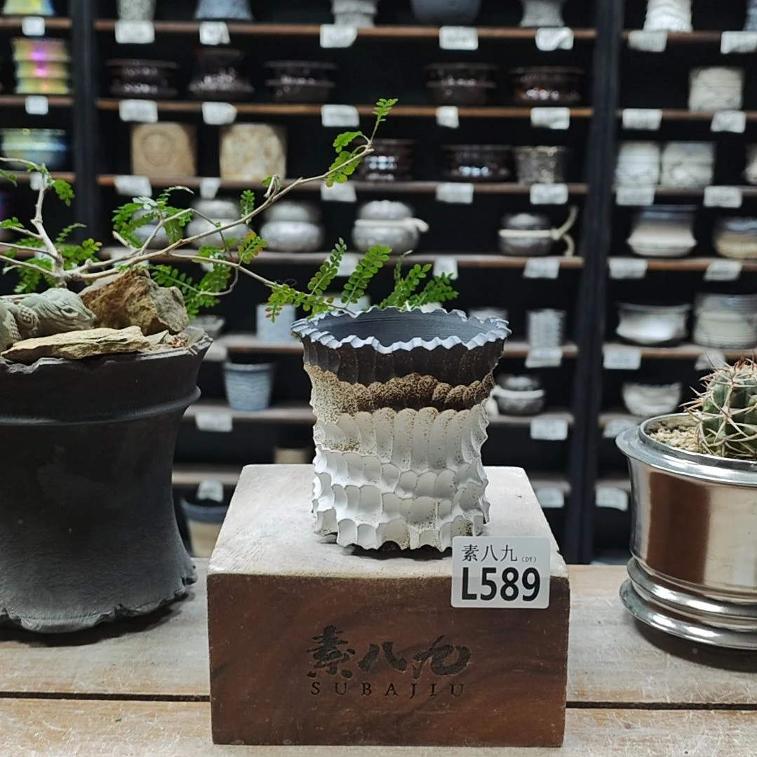 瓷素八九陶瓷内口8.5高9.5