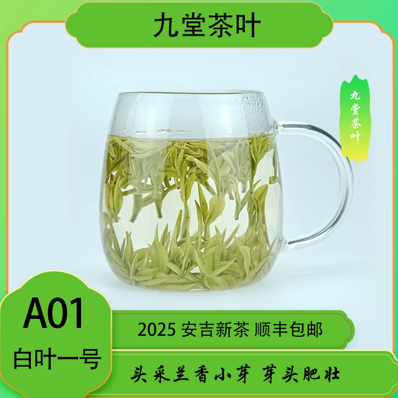【A01】 精品 2025年新茶 昆铜安吉白茶核心产区开园头采顶芽茶