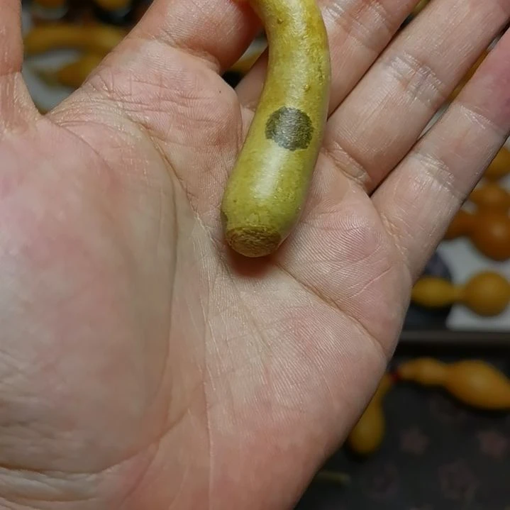 得***笑葫芦天残脚葫芦天残脚葫芦