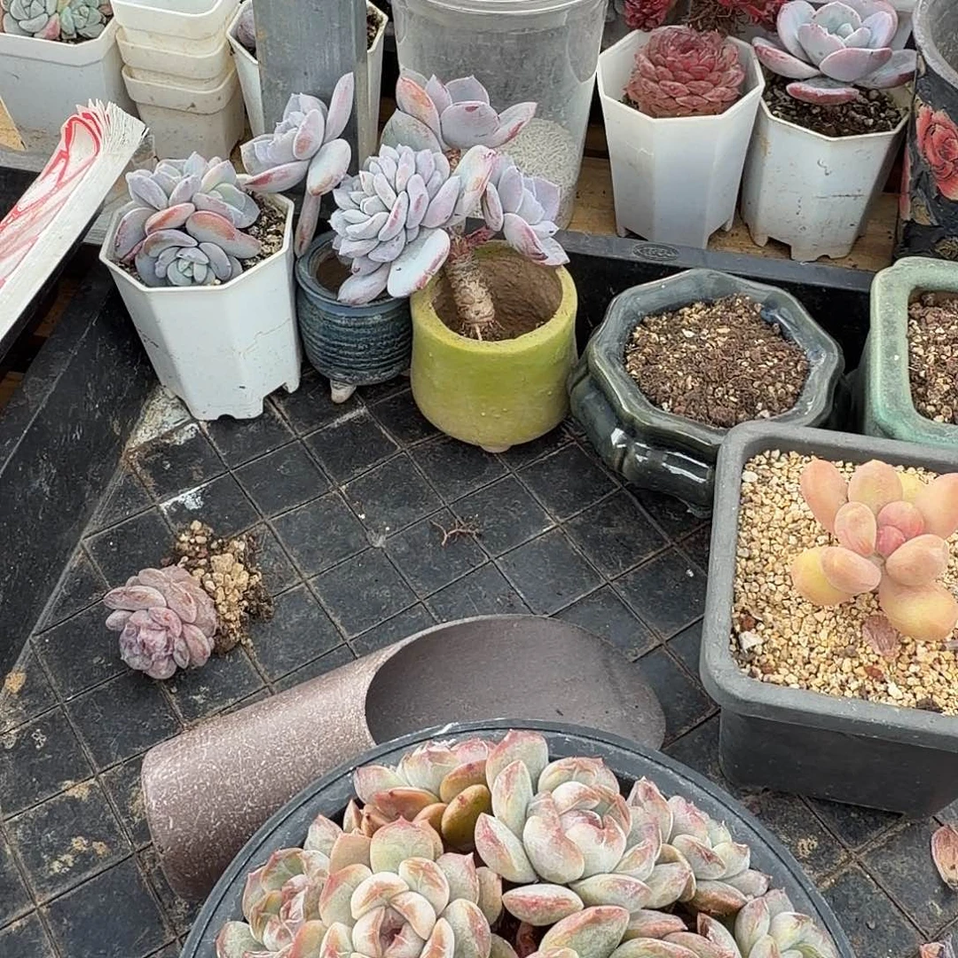 哈哈哈哈哈哈哈哈哈哈哈